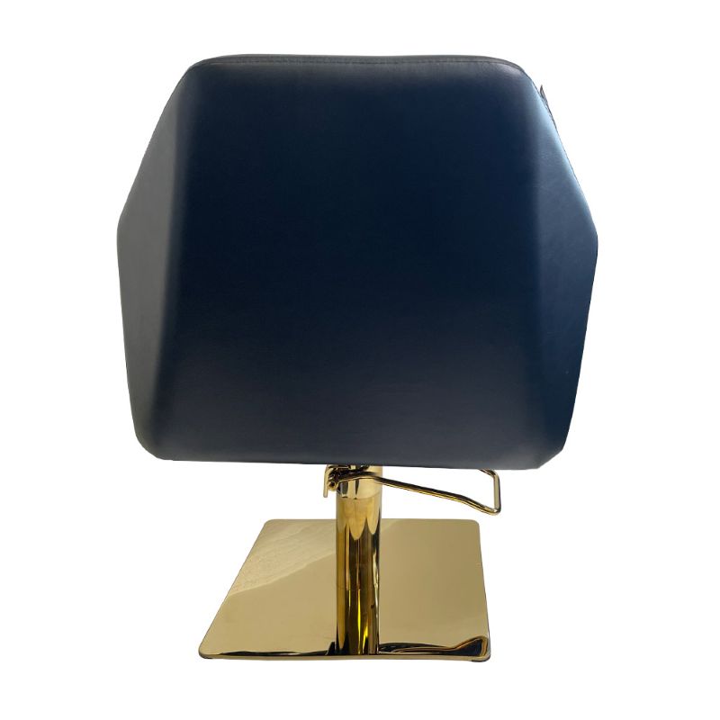 KarmaByronBaySalonChairBackViewBlack