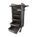 KarmaDarwinHairdressingTrolleyBlackFrontAngleView