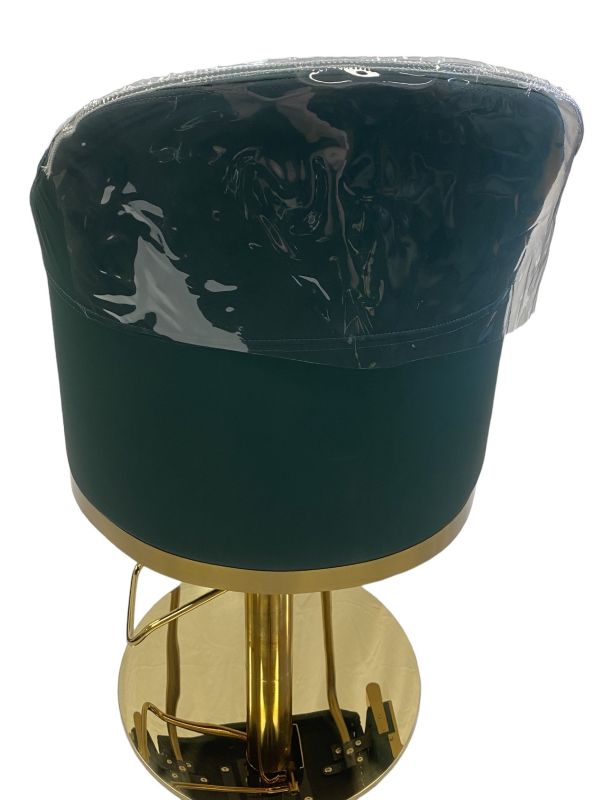 KarmaEdenSalonChairBackAngleViewPlasticProtectorGreenGold