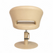 KarmaNundleSalonChairChampagne_BackView