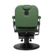 KarmaPaddingtonBarberChairBackViewGreen