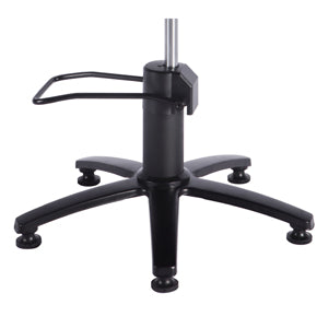 Bridget Professional Salon Styling Chair