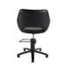Black professional salon styling chair showing rear view and hydraulic base