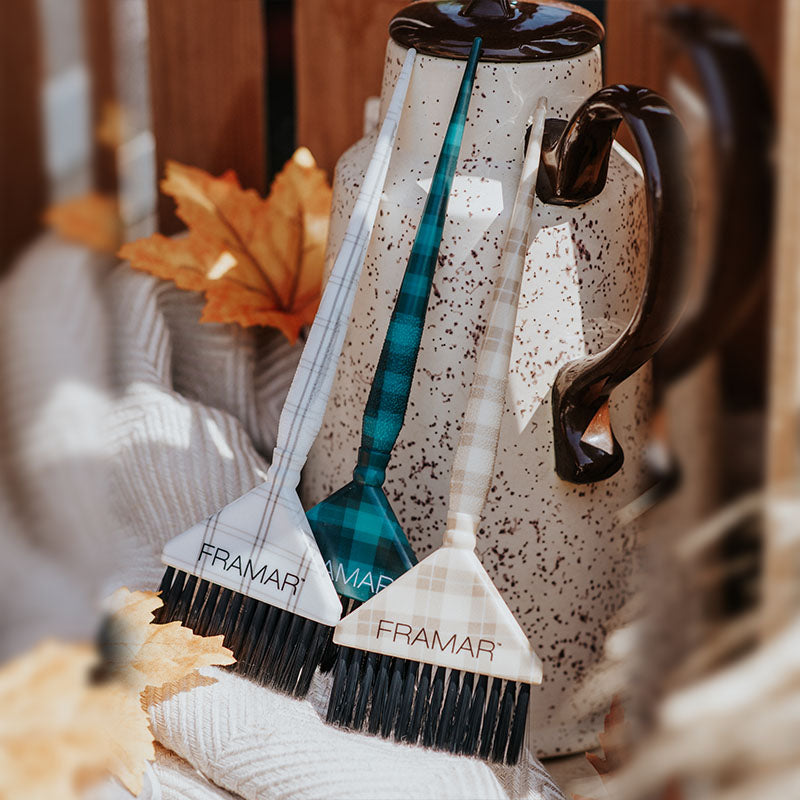 Framar Plaid Hair Day colour brushes leaning against a ceramic jug in a professional salon setting