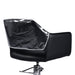 Kathleen styling chair back protected with professional salon chair cover