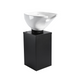 White Coral ceramic basin on black pedestal hair washing station