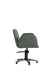 Agave green professional salon styling chair with black five star base